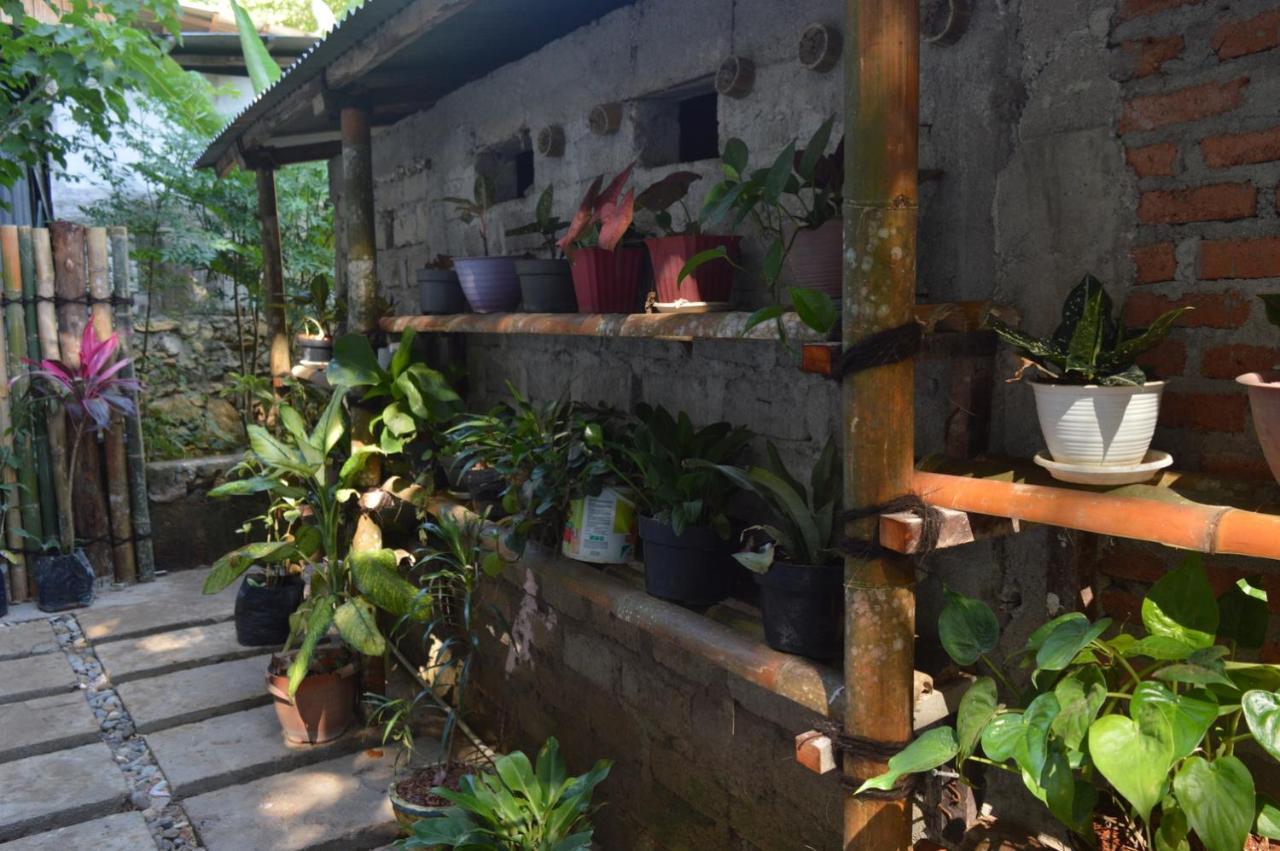 Labuan Bajo Mahoni Guesthouse Luaran gambar